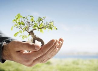 გამარტივებული აგროდაზღვევა ალდაგისგან აგრო დაზღვევა