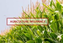 აგროდაზღვევა თიბისი დაზღვევისგან