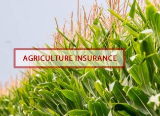 აგროდაზღვევა თიბისი დაზღვევისგან