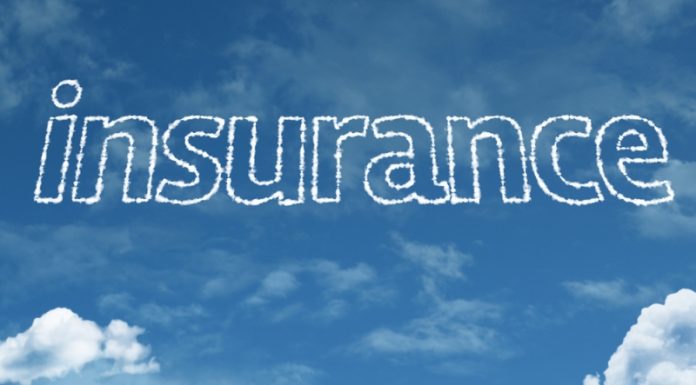 dazgvevebi insurance